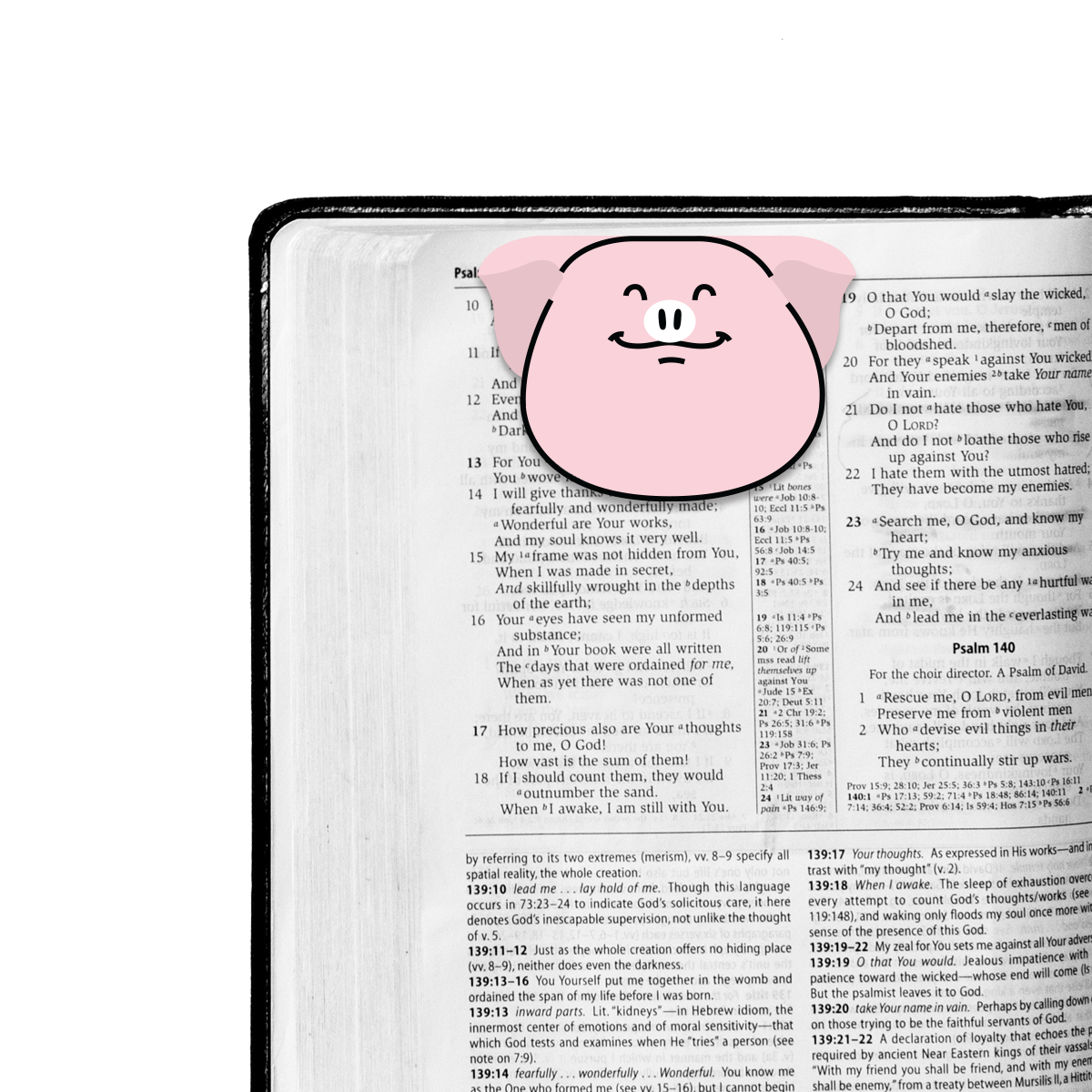 Piggy magnetic bookmark